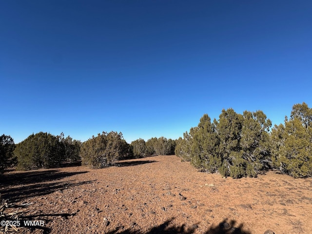 Listing photo 3 for TBD Hawk Rd, Show Low AZ 85901