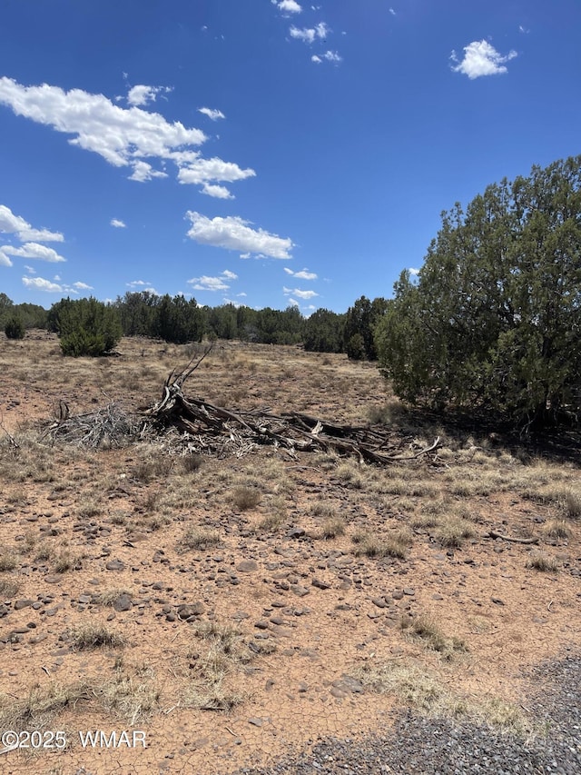 00 Rocky Rd, Show Low, AZ 85901