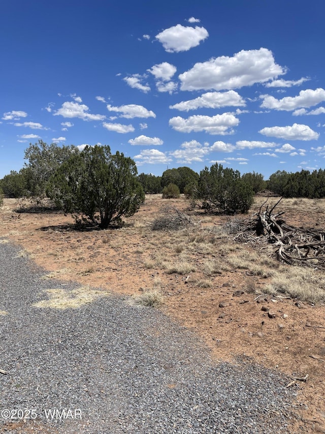 00 Rocky Rd, Show Low, AZ 85901