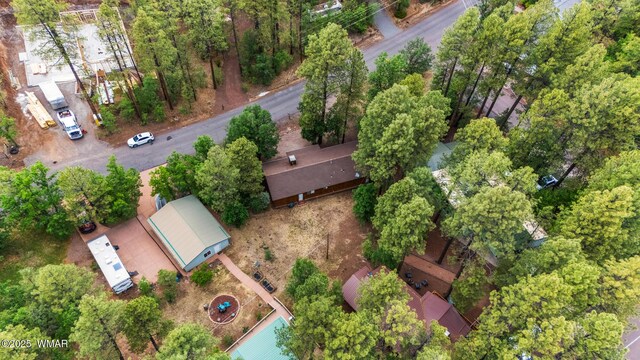 2787 S Wapiti Ln, Pinetop, AZ 85935 - photo 26