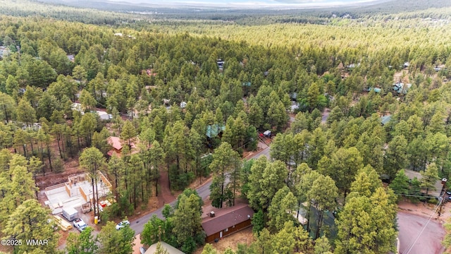 2787 S Wapiti Ln, Pinetop, AZ 85935 - photo 25
