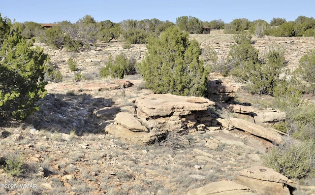 5646 Brangus Rd, Heber, AZ 85928 - photo 24