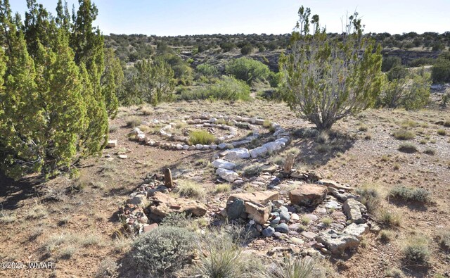 5646 Brangus Rd, Heber, AZ 85928 - photo 20