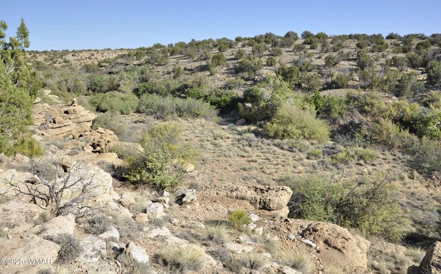 5646 Brangus Rd, Heber, AZ 85928 - photo 22