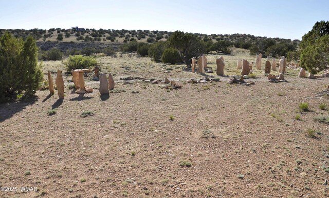 5646 Brangus Rd, Heber, AZ 85928 - photo 38