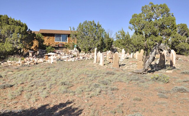 5646 Brangus Rd, Heber, AZ 85928 - photo 29