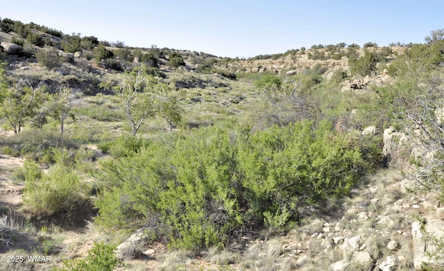 5646 Brangus Rd, Heber, AZ 85928 - photo 26