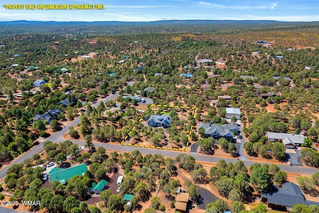 6853 Rim Rock Rd, Show Low, AZ 85901 - drone / aerial view