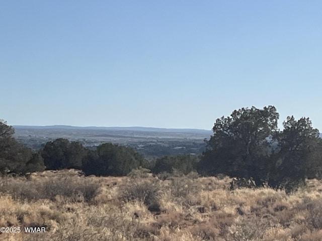 2409 E Mountain View Dr, Snowflake, AZ 85937