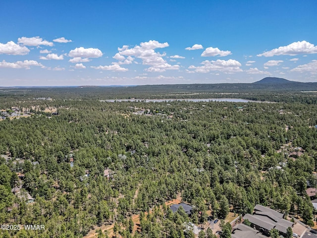 5470 W Glenn Abbey Trl, Lakeside, AZ 85929 - photo 30