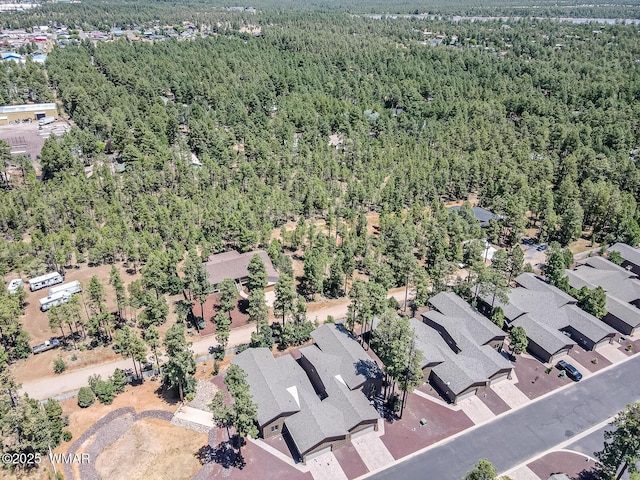 5470 W Glenn Abbey Trl, Lakeside, AZ 85929 - photo 29