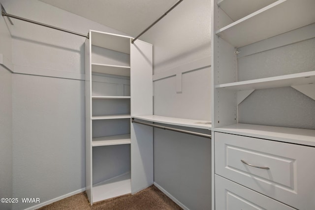 864 S 1st St E, Snowflake, AZ 85937 - walk in closet featuring dark carpet