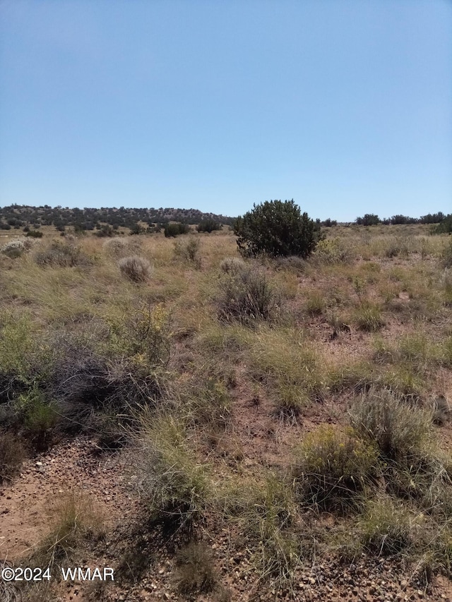 8875 Juniper Berry Trl, Snowflake AZ, 85937 land for sale