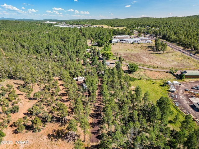 TBD E Ellsworth Rd, Show Low, AZ 85901 - photo 4