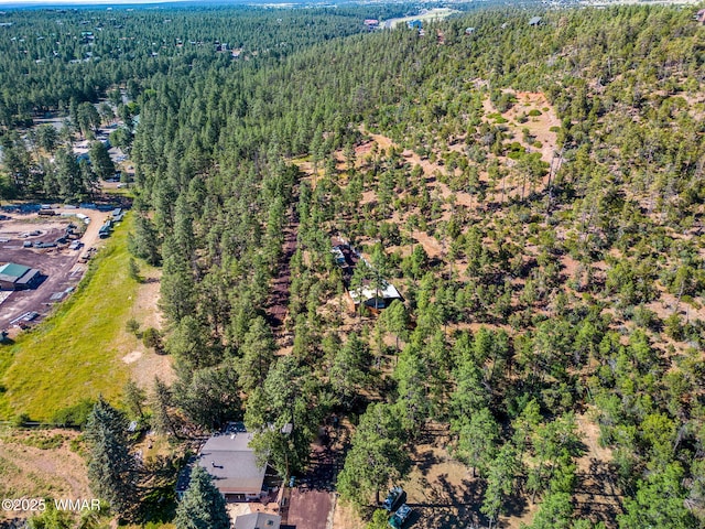 TBD E Ellsworth Rd, Show Low, AZ 85901 - photo 1