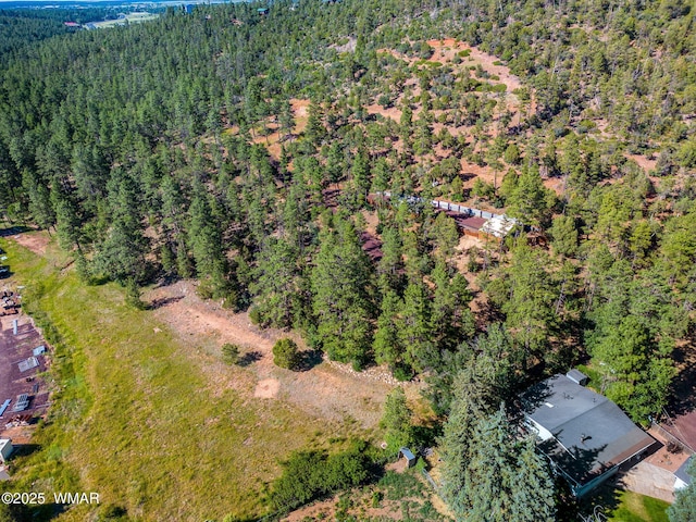 TBD E Ellsworth Rd, Show Low, AZ 85901 - photo 2