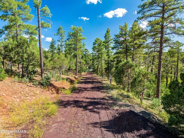 TBD E Ellsworth Rd, Show Low, AZ 85901 - photo 5