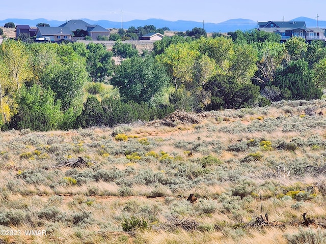 1415 W Tumbleweed Trl, Snowflake AZ, 85937 land for sale