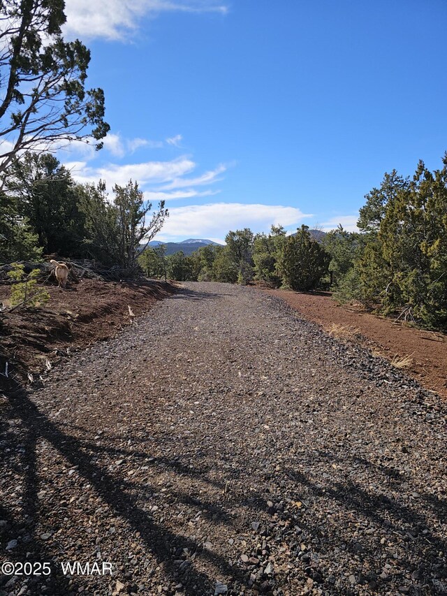TBD Acr 3138, Vernon, AZ 85940 - photo 15