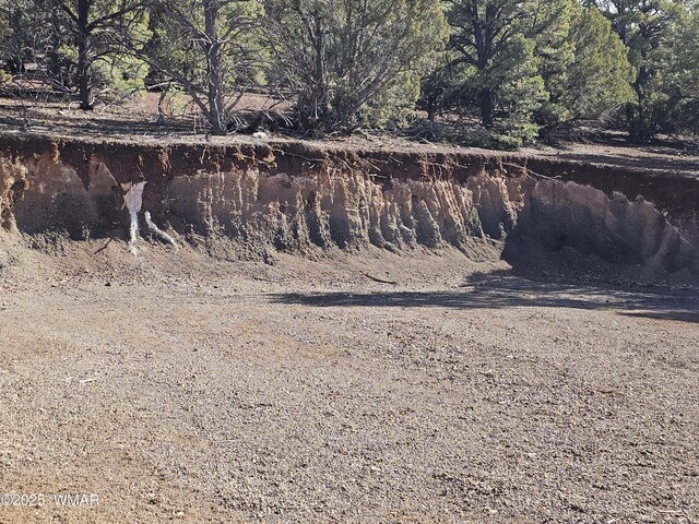 TBD Acr 3138, Vernon, AZ 85940 - photo 18