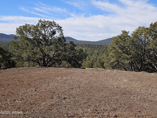 TBD Acr 3138, Vernon, AZ 85940 - photo 21