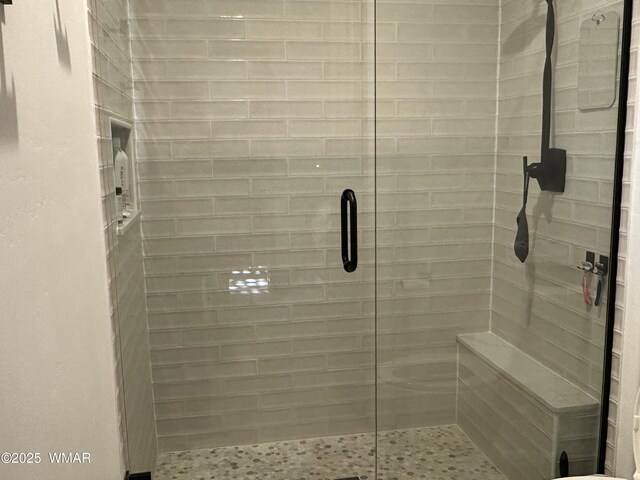 1401 S Spruce Ln, Show Low, AZ 85901 - bathroom featuring a stall shower
