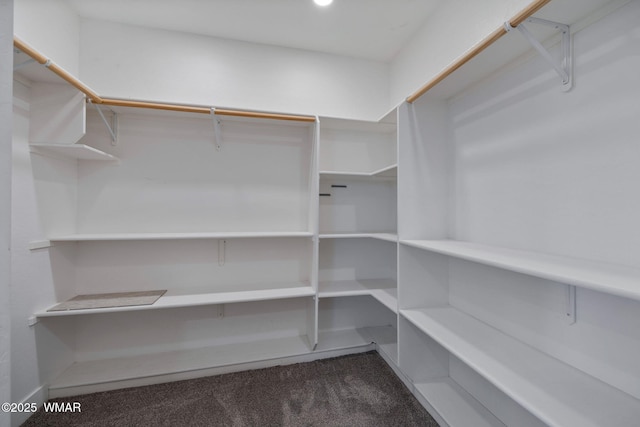 1738 W 7th St, Snowflake, AZ 85937 - walk in closet with dark colored carpet