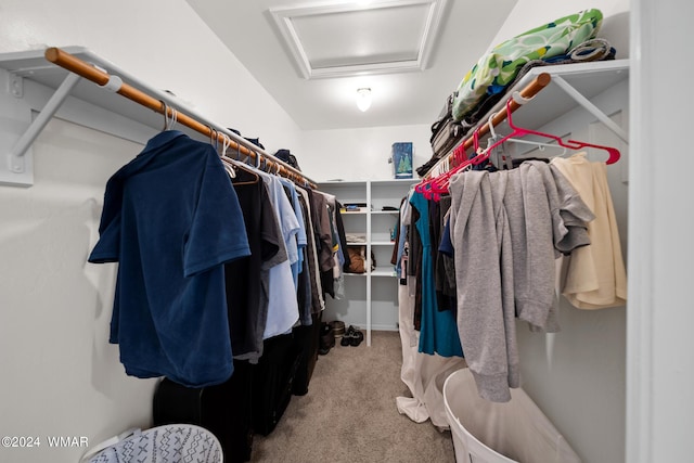 walk in closet with light carpet and attic access