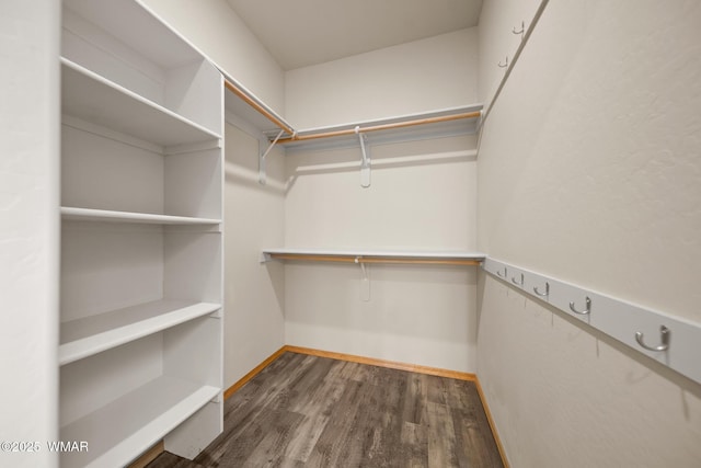 spacious closet with wood finished floors