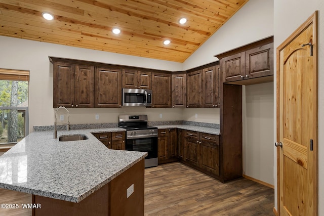 kitchen featuring lofted ceiling, dark brown cabinetry, a peninsula, a sink, and appliances with stainless steel finishes