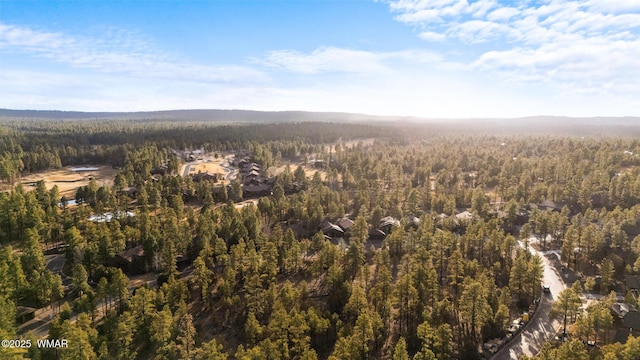 birds eye view of property featuring a forest view