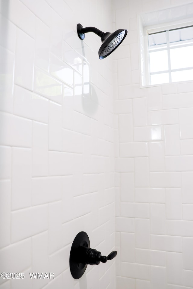 1316 W 7th St S, Snowflake, AZ 85937 - bathroom view of tiled shower