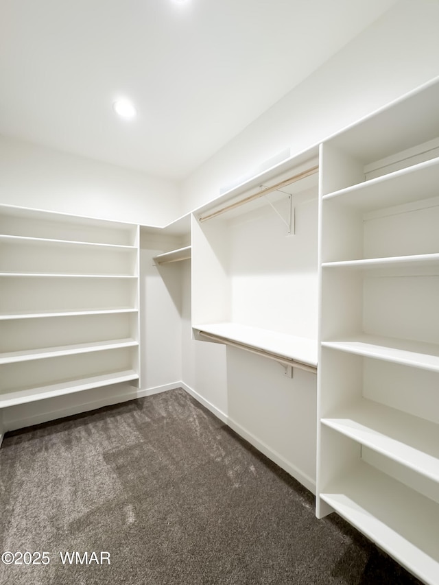 1316 W 7th St S, Snowflake, AZ 85937 - walk in closet featuring carpet flooring