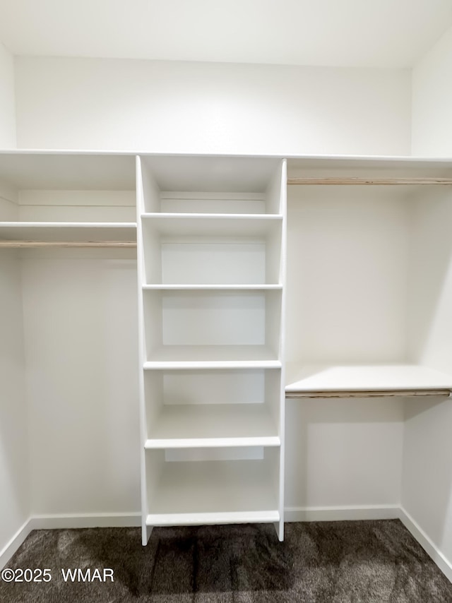 1316 W 7th St S, Snowflake, AZ 85937 - spacious closet with carpet