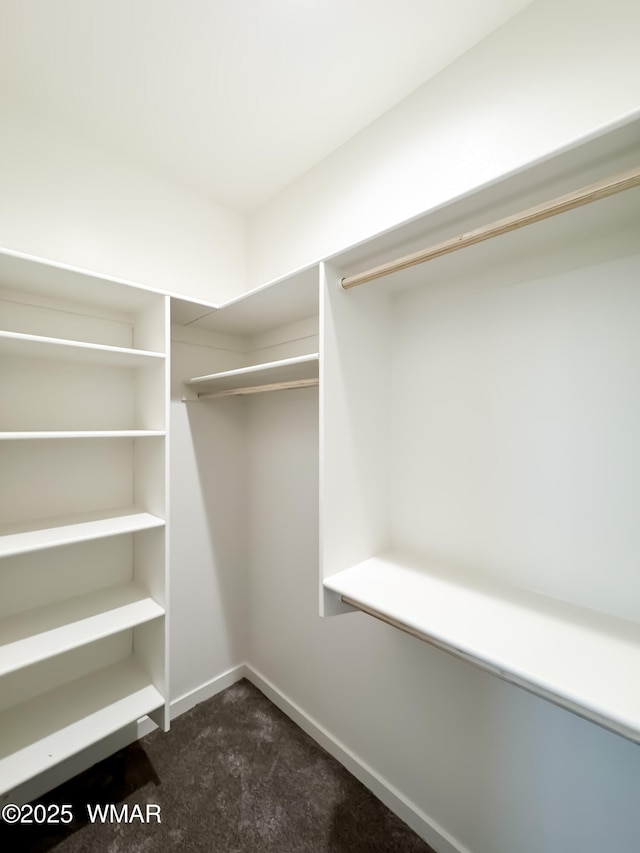 1316 W 7th St S, Snowflake, AZ 85937 - spacious closet with dark carpet