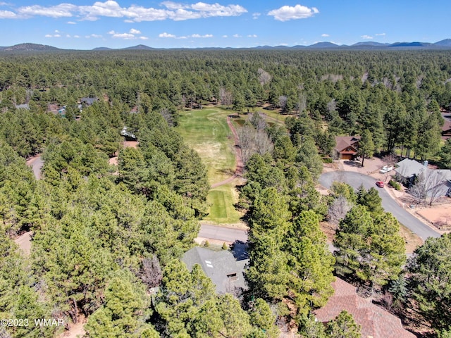 4654 Sweeping Vista Dr, Pinetop, AZ 85935 - photo 40