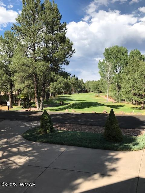 4654 Sweeping Vista Dr, Pinetop, AZ 85935 - photo 39