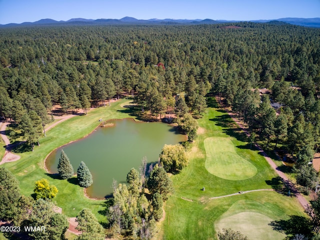4654 Sweeping Vista Dr, Pinetop, AZ 85935 - photo 5