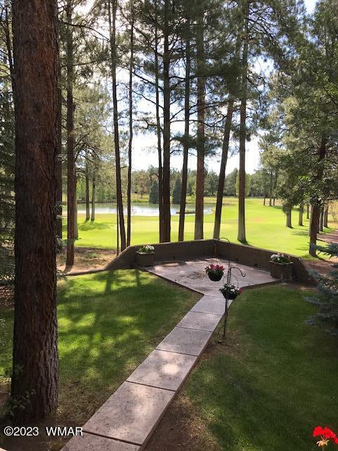 4654 Sweeping Vista Dr, Pinetop, AZ 85935 - photo 38