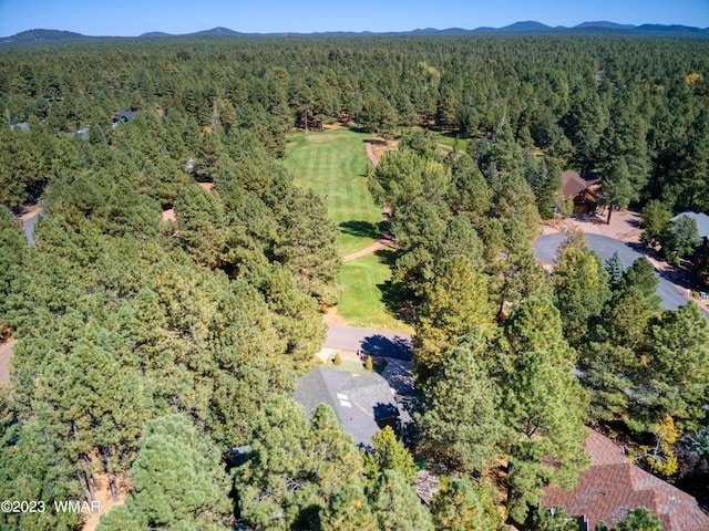4654 Sweeping Vista Dr, Pinetop, AZ 85935 - photo 41