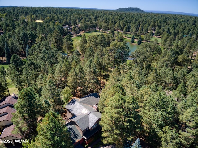 4654 Sweeping Vista Dr, Pinetop, AZ 85935 - photo 7