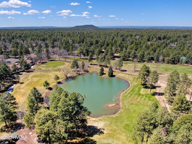 4654 Sweeping Vista Dr, Pinetop, AZ 85935 - photo 42