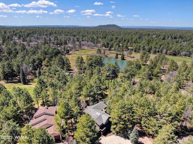 4654 Sweeping Vista Dr, Pinetop, AZ 85935 - photo 43