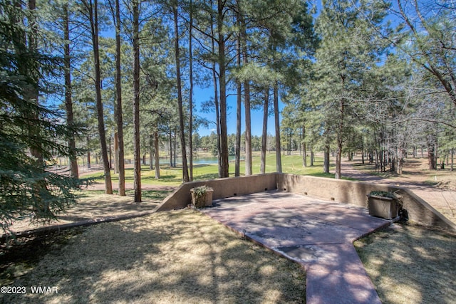 4654 Sweeping Vista Dr, Pinetop, AZ 85935 - photo 45
