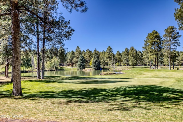 4654 Sweeping Vista Dr, Pinetop, AZ 85935 - photo 44