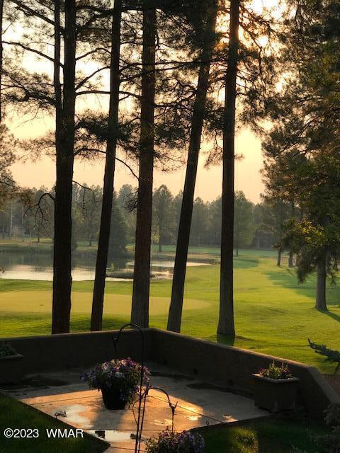 4654 Sweeping Vista Dr, Pinetop, AZ 85935 - photo 37