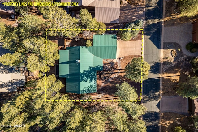 2740 W Maple Ln, Show Low, AZ 85901 - aerial view