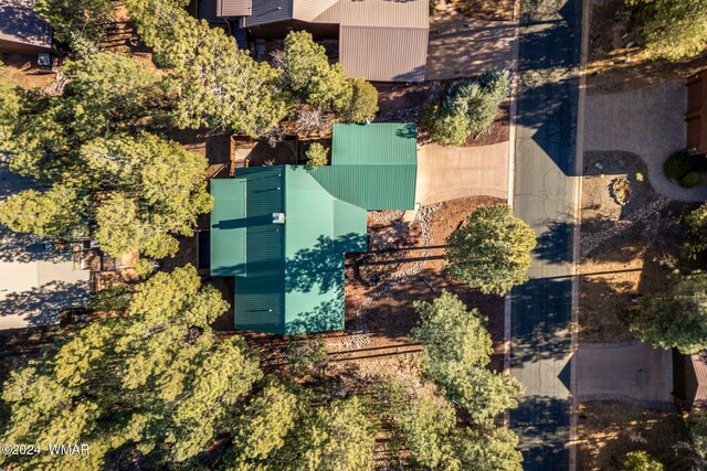 2740 W Maple Ln, Show Low, AZ 85901 - aerial view