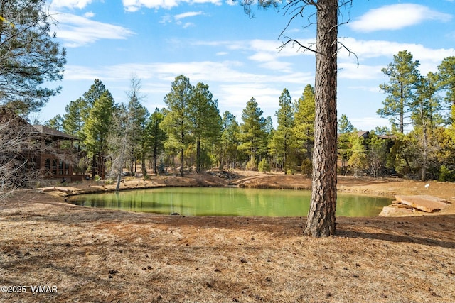 4021 W Redtwig Ln, Show Low AZ, 85901 land for sale