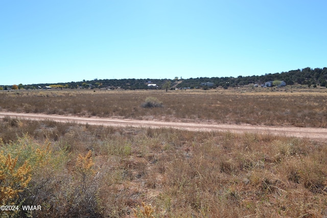 058N Bar Ditch Rd, Taylor, AZ 85939